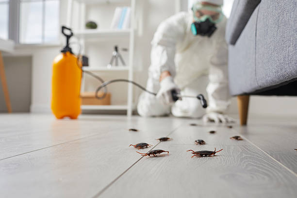 Commercial Kitchen Cockroach Control in Duncan Falls